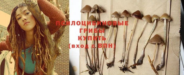 крисы Балабаново