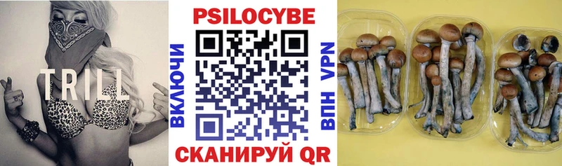 МЕГА сайт  купить  сайты  Саяногорск  Псилоцибиновые грибы прущие грибы 