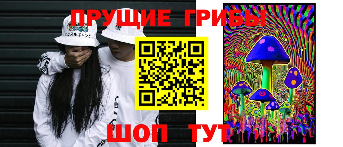 Галлюциногенные грибы мухоморы Саяногорск