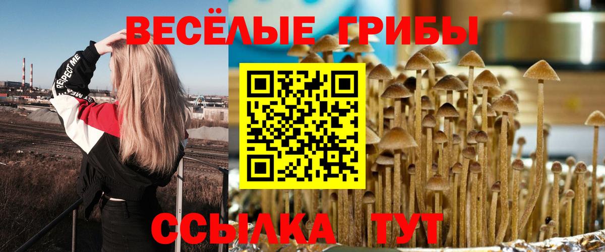 Галлюциногенные грибы MAGIC MUSHROOMS  Вход с VPN  наркотики  Саяногорск 