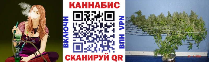 магазин продажи   Саяногорск  Каннабис конопля 